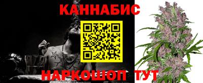 стаф Заводоуковск